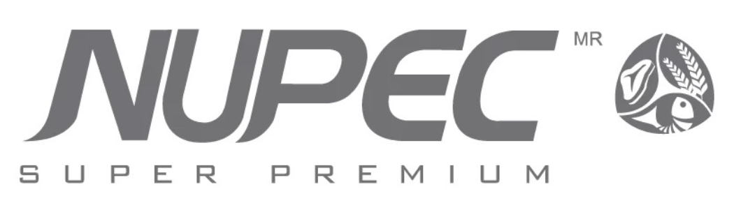 ISO 9001:2015 Empresa Certificada